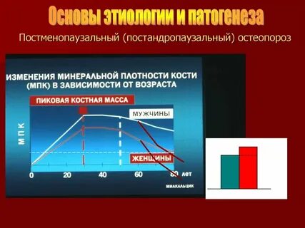 Остеопороз статистика