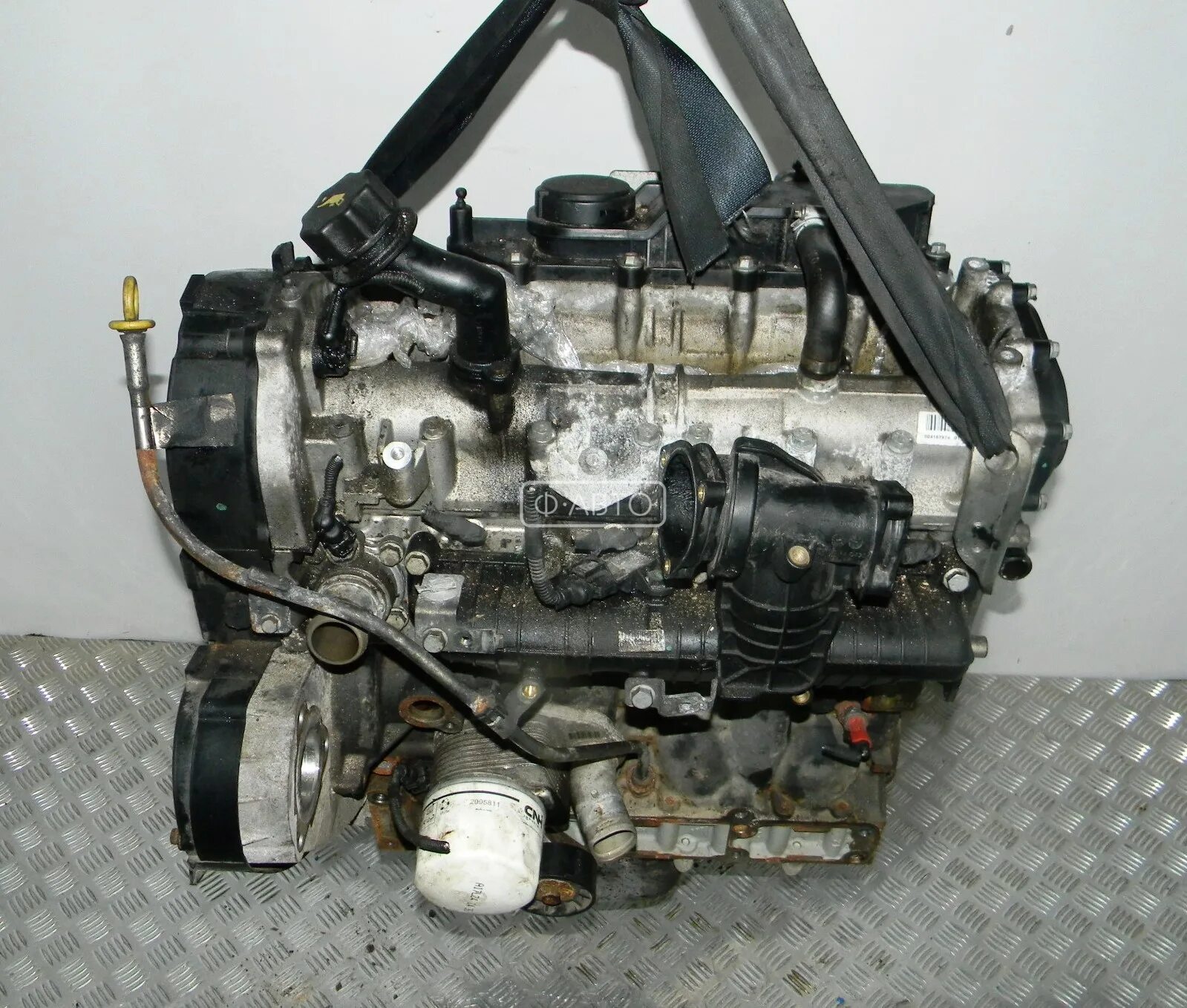 Двигатель Ивеко Дейли 2013г. Двигатель Ивеко Еврокарго. Фото двигатель Iveco Daily 2.3. Двигатель ae3481 Ивеко фото.