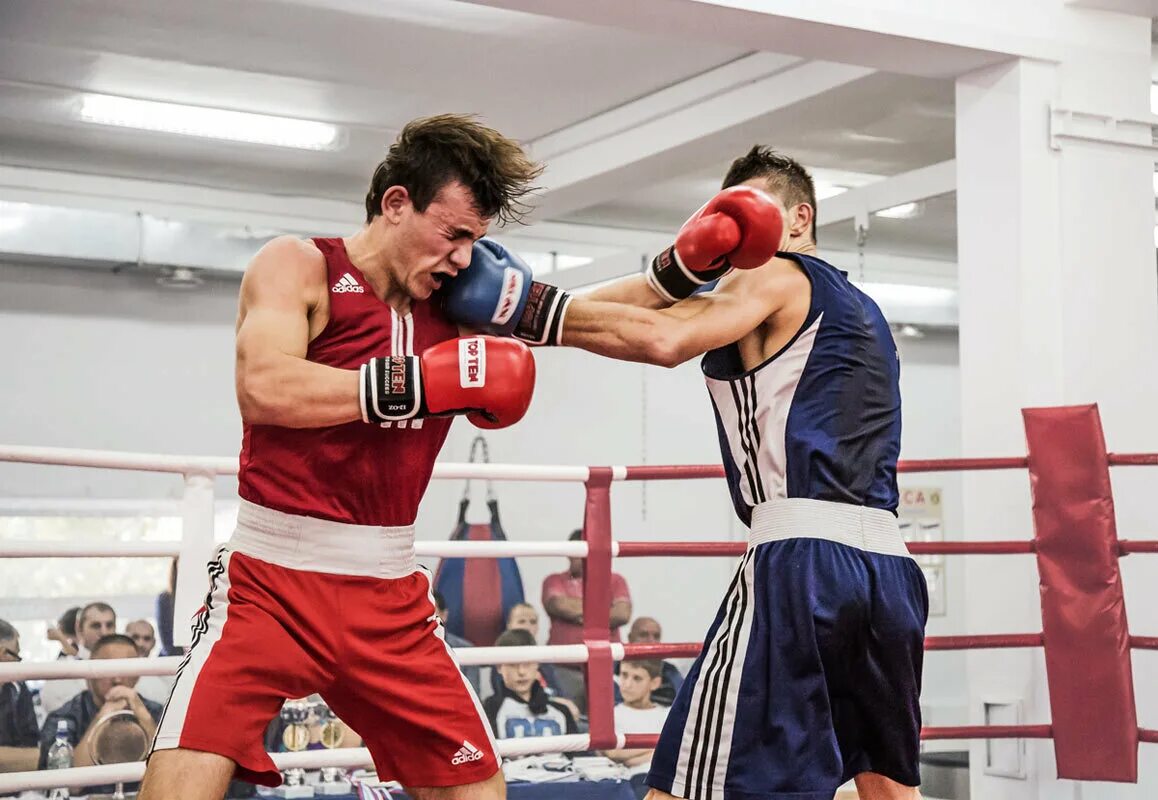 игра про бокс на андроид. моды на мелан сан бокс. фото боксеров зарафшан. моды на мелан сан бокс. моды на мелан сан бокс.