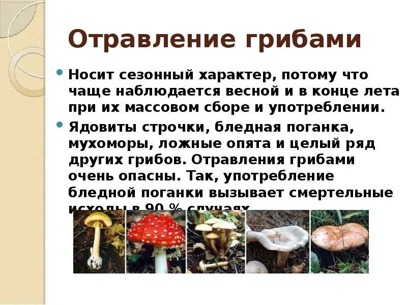 Со скольки лет детям можно есть грибы. Грибы вызывающие пищевые отравления. сообщение о отравление грибами. пищевые отравления грибами. пищевое отравление грибами симптомы.