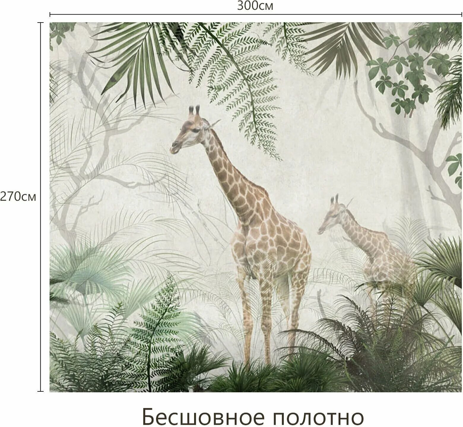 Фотообои жираф. Фотообои жирафы на стену. Жираф выглядывает. Обои с жирафами детские. Фотообои жираф.