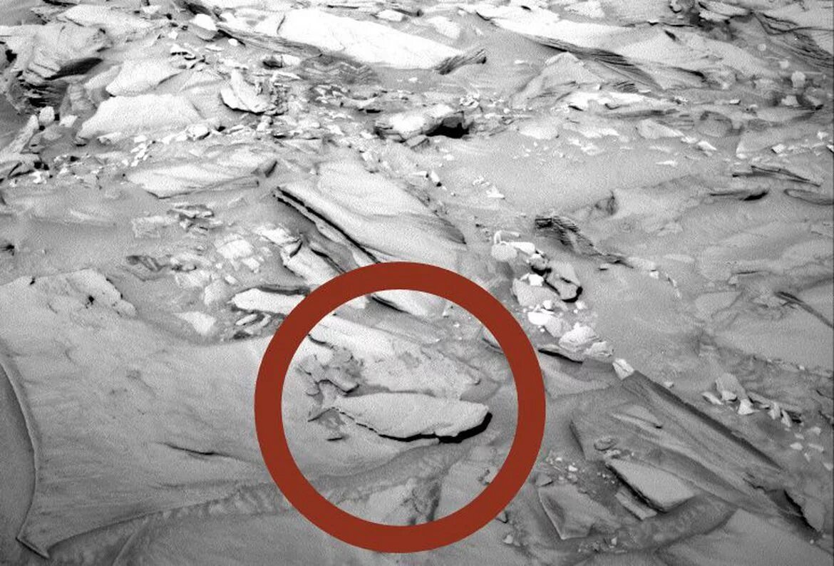 Марс загадочные снимки. Странные снимки с Марса. Загадочные объекты на Марсе. Необъяснимые снимки с Марса.
