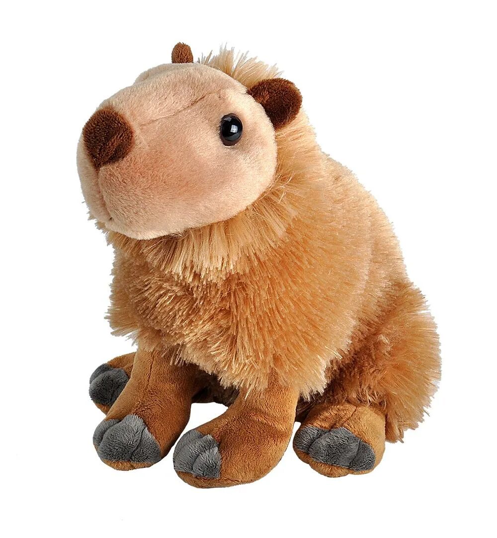 Капибара кукла. Плюшевая капибара. capybara plush toy. игрушечная капибара мягкая. капибара kosen игрушка плюшевый.