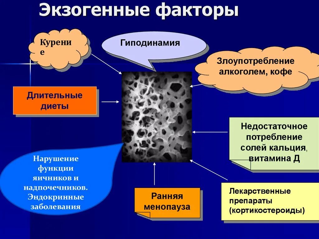 Экзогенные заболевания. Экзогенные факторы заболеваний. Эндогенные и экзогенные болезни. Экзогенные факторы вызывающие воспаление.