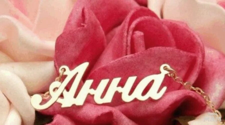 1 ане. 1 ане