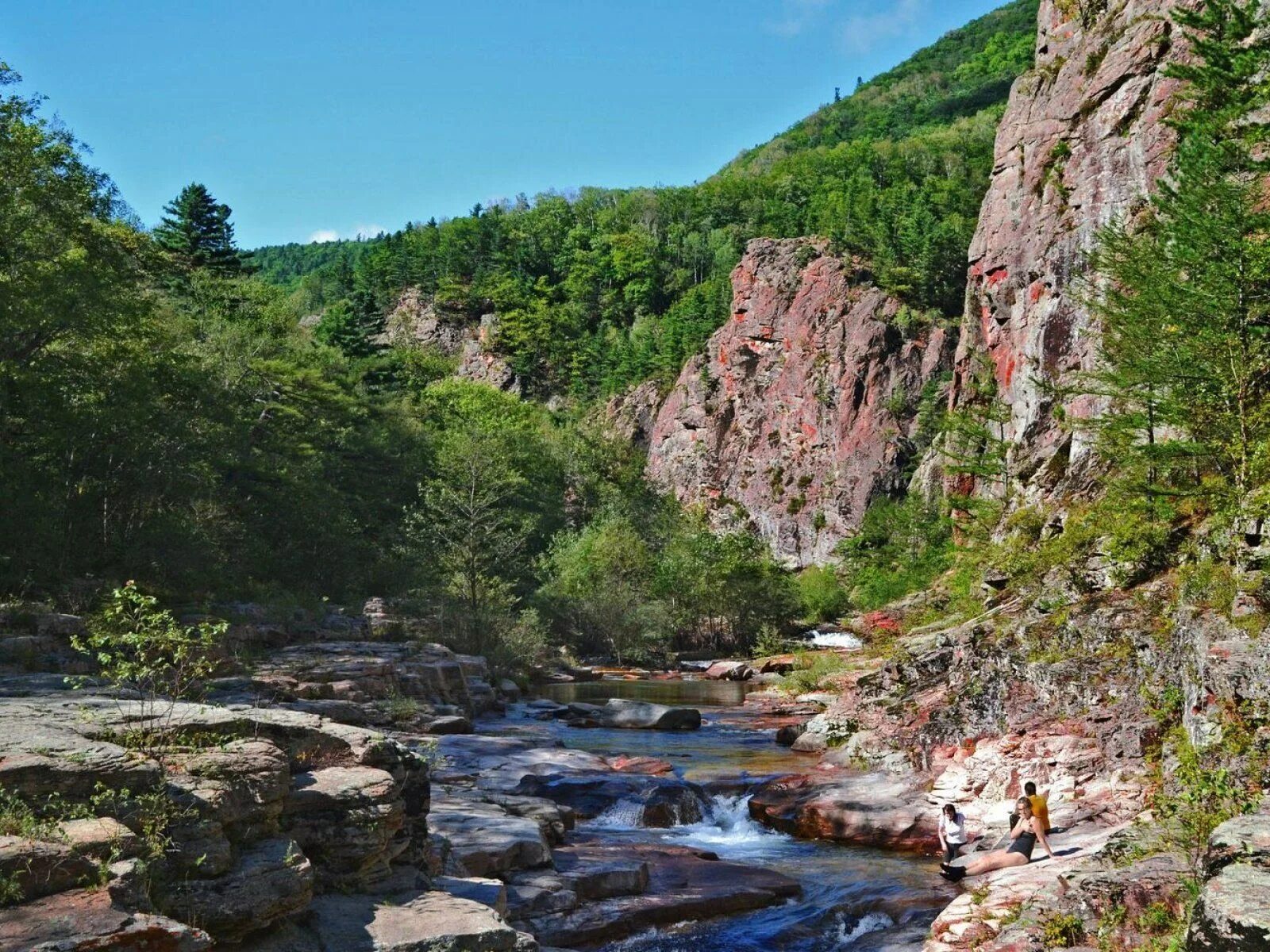 Горное михайловский район приморский край. Уссурийская Тайга. Приморский край Уссурийская Тайга. Уссурийская Тайга река Уссури. Природа Приморье Уссурийская Тайга.