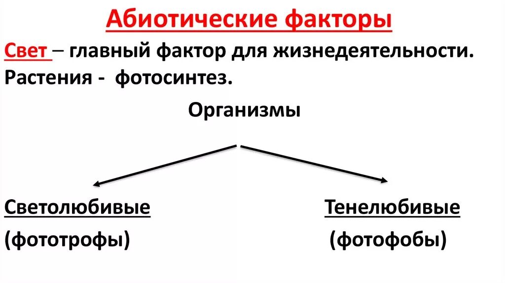 Абиотические факторы в жизни растений. Абиотические факторы среды свет. Свет как абиотический фактор среды. Экологические факторы. Экологические факторы про абиотический свет.