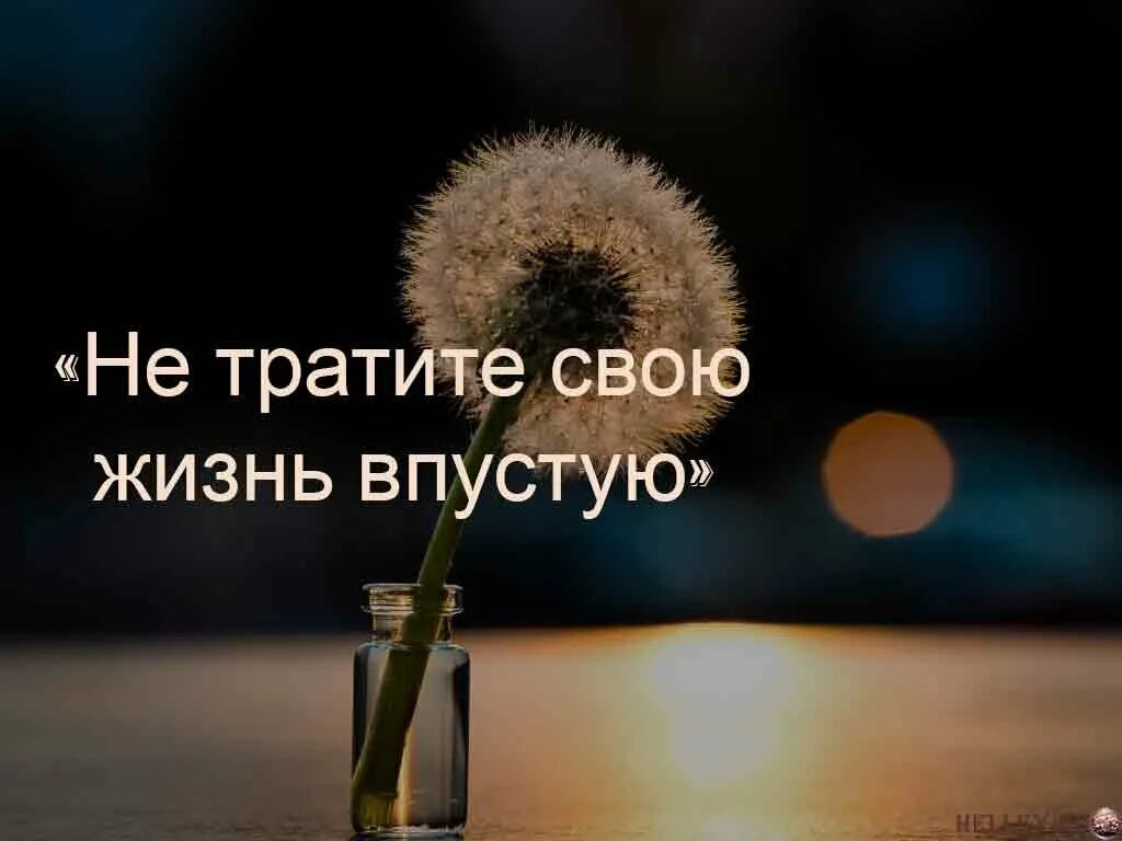 Впустую без положительного. Жизнь прожитая впустую. Не тратьте время впустую. Трата жизни впустую. Трата времени впустую.