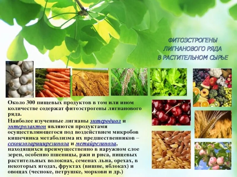 Продукты, богатые фитоэстрогеном. Фитоэстрогены. Фитоэстрогены в продуктах. Гормоны растительного происхождения.