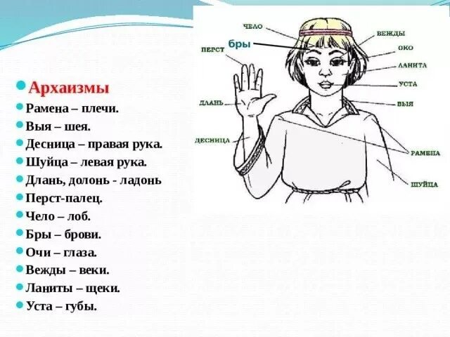 Выя предложения. Око это устаревшее слово. Очи архаизм. Название частей тела. Устаревшие слова архаизмы.