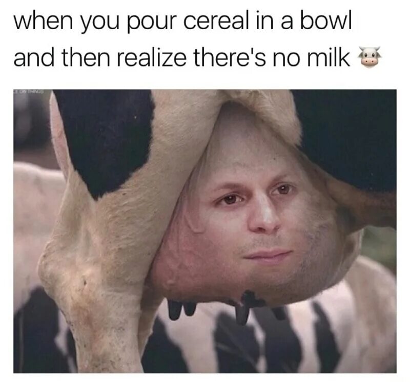 When you have a really. When you're drinking Milk and your friend tells a funny joke. Pouring the Milk in before the Cereal. Funny British meme. Milk disappears where Milk is when you need it.