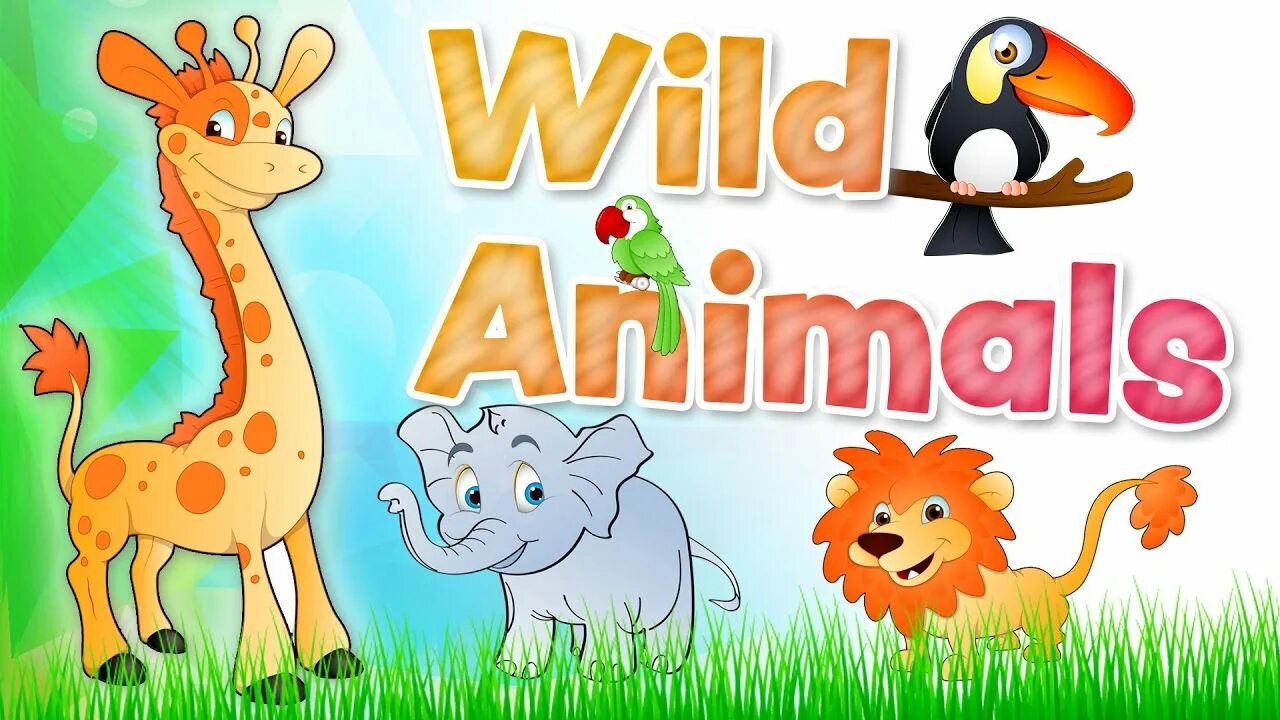 Kids box wild animals