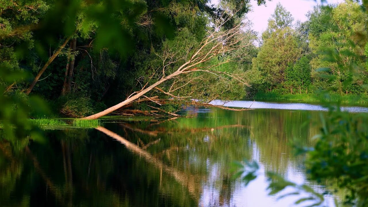 Сухая самарка татьянка река. Кривуша река. Сухая самарка татьянка река. Сухая самарка татьянка река. Татьянка новокуйбышевск река.