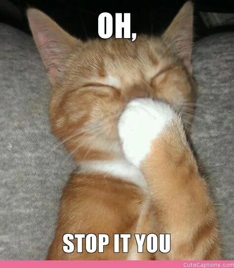 So if you re looking. Stop it you. oh stop it. oh stop it you. oh stop it мем.