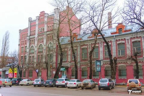 Винзавод воронеж