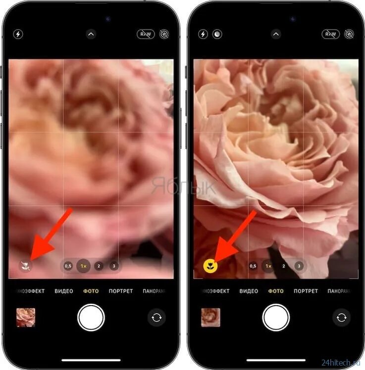 Как настроить камеру айфона 14 про макс. Макросъемка на айфон. Режим макро на айфоне. Макро эффект на айфоне. Макросъемка на айфон 14.