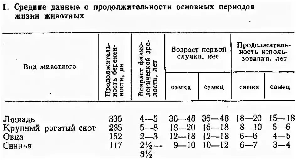 Сроки жизни животных