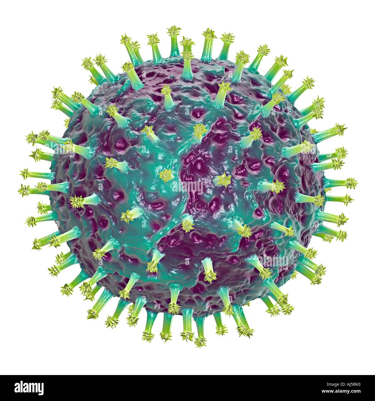 Респираторные вирусы гриппа. Респираторно-синцитиальный вирус человека. Респираторно- синцитиальный вирус резистентность. Вирус гриппа. Изображение вируса гриппа.