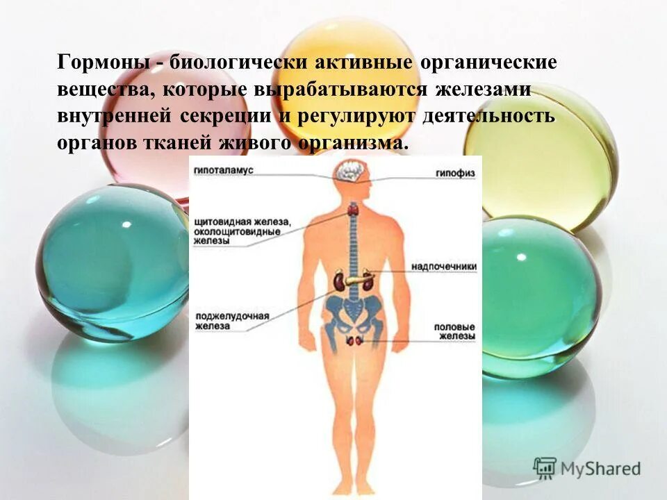 Активные вещества вырабатываемые железами. Гормоны биологически активные вещества вырабатываемые. Гормоны презентация. Презентация на тему гормоны. Распределение гормонов в организме.