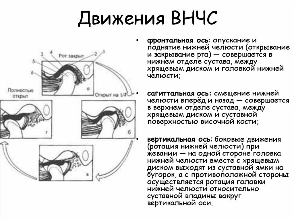 Какие движения происходят