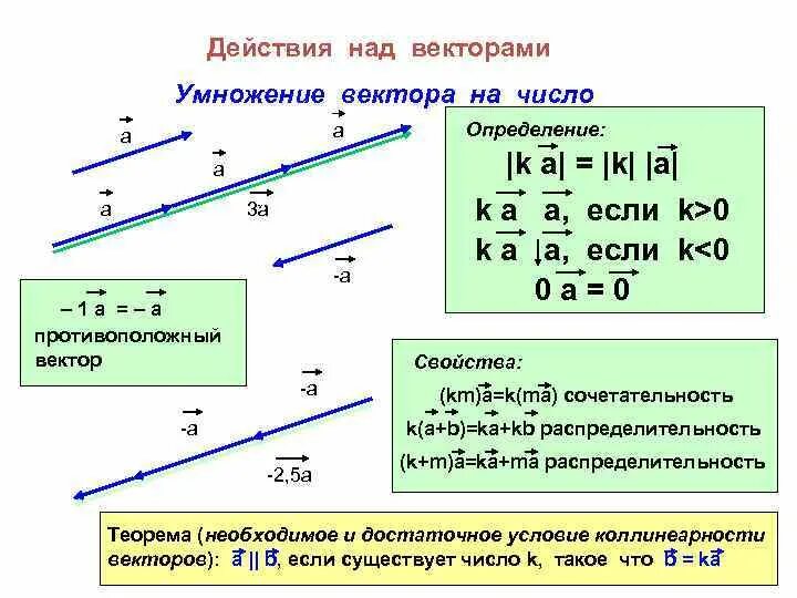 Самостоятельное определение вектора. Задачи на сложение векторов и умножение вектора на число. Умножение вектора на число в пространстве. Деление вектора на вектор. Умножение векторов в пространстве.