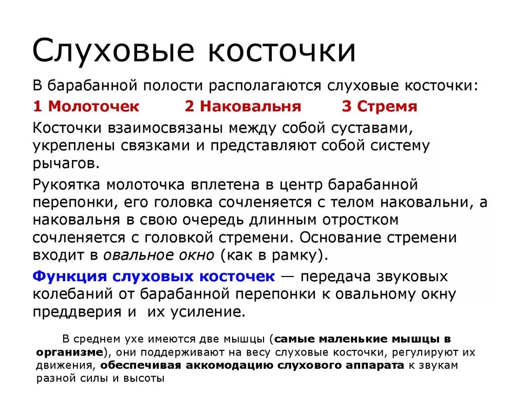 Функцию слуха выполняет. Слуховые косточки функции. Стремечко функции. Роль слуховых косточек. Роль слуховых косточек среднего уха.