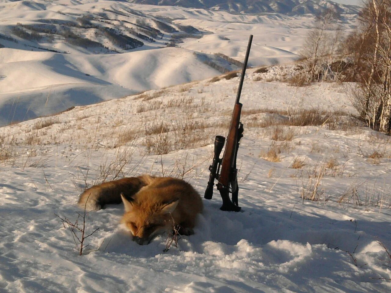 Лучший охотничий
