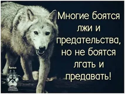 Доверяю тебе не боюсь