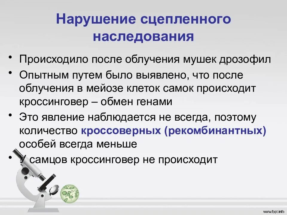 Нарушение сцепленного наследования в какой фазе мейоза. Сцепление сцепленное наследование генов. сцепленное наследование (полное и неполное сцепление. нарушение сцепленного наследования. сцепленное наследование нарушение сцепления.