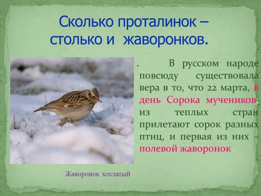 Песня жаворонки голосят над. Презентация праздника сороки. Жаворонок праздник. Праздник Жаворонки презентация.