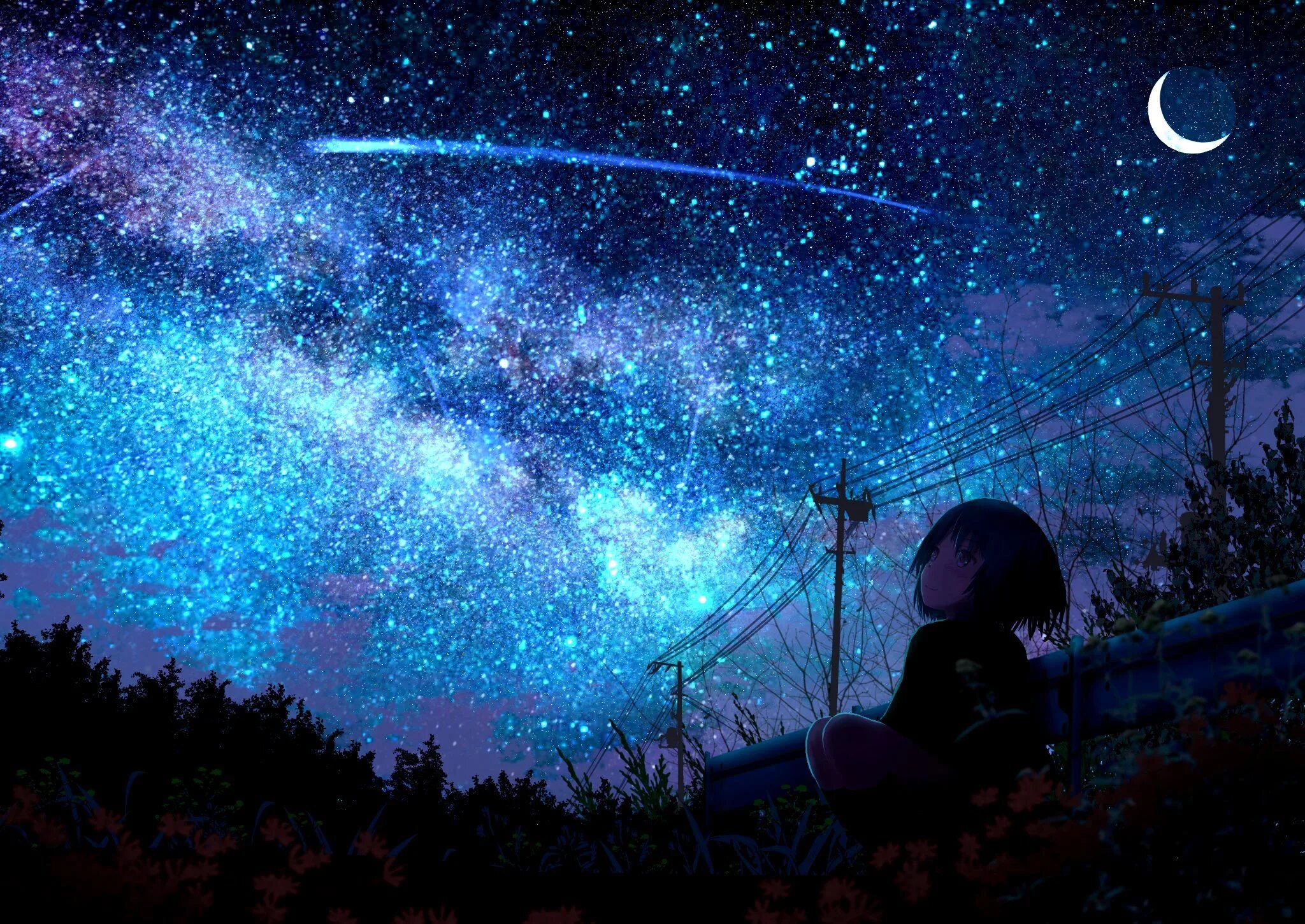 По ночам несмотря на звездное небо сырая. Звездное небо арт.