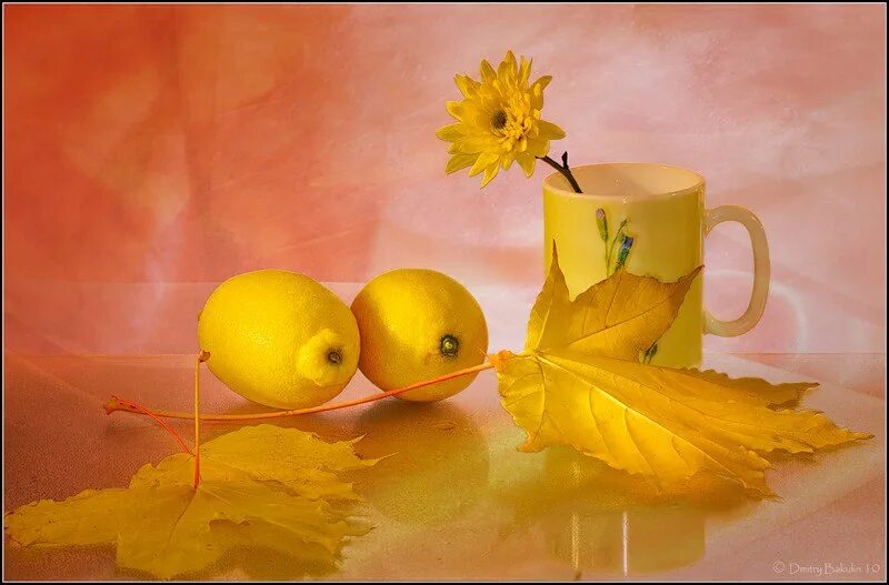 осеннее утро желтое.