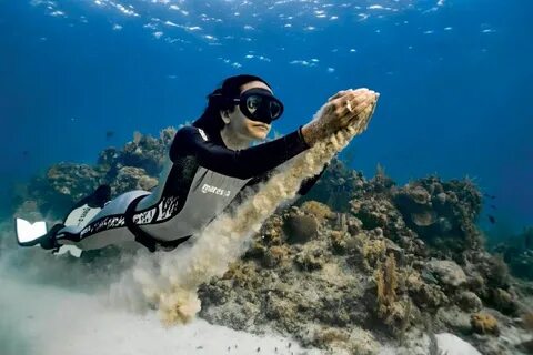 Море науки