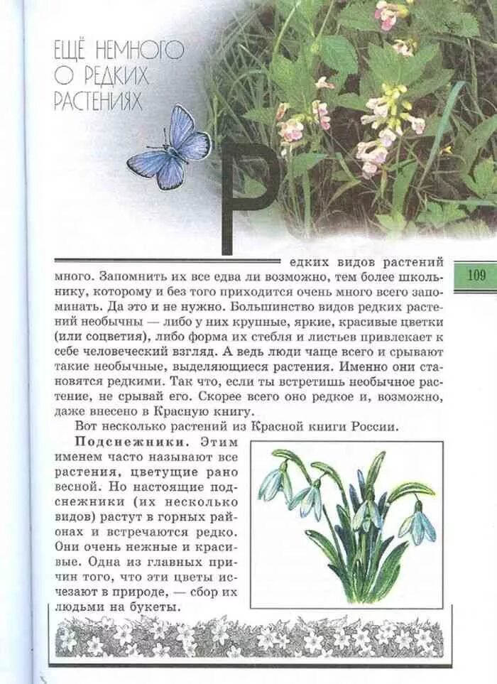 Рассказ великан на поляне 2 класс. Великан на поляне еще немного о редких растениях. книга великан на поляне рассказ еще немного о редких растениях. великан на поляне о редких растениях. книга великан на поляне еще немного.