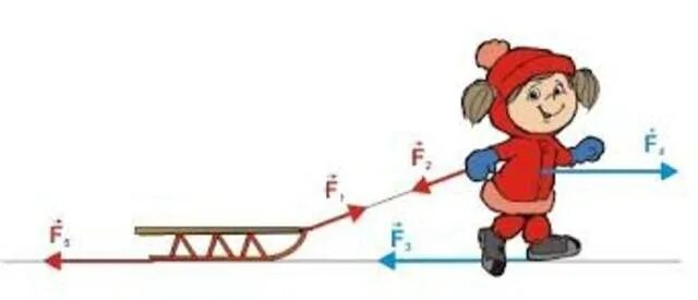 Второй закон Ньютона картинки. Второй закон Ньютона иллюстрация. Рисунок второго закона Ньютона. Силы действующие на санки. Мальчик тянет отца крокус