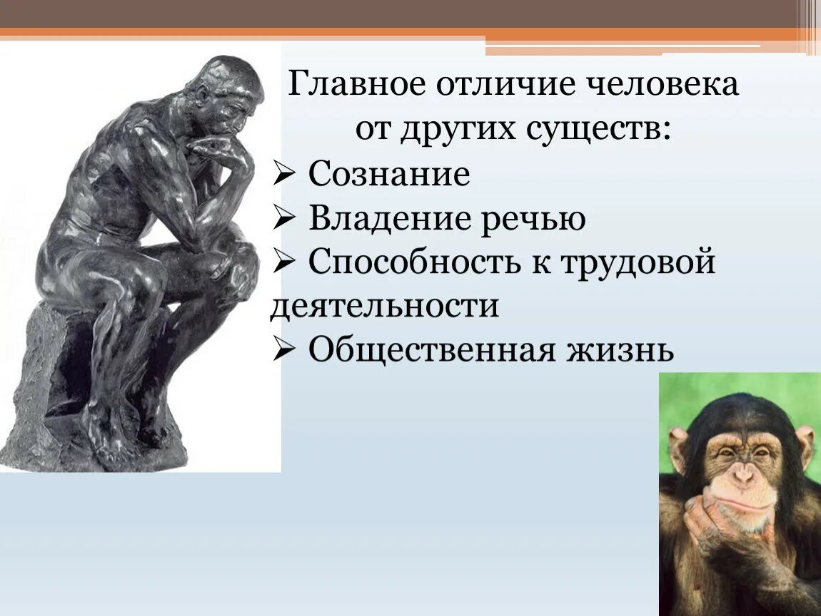 Ничем не отличается от остальных