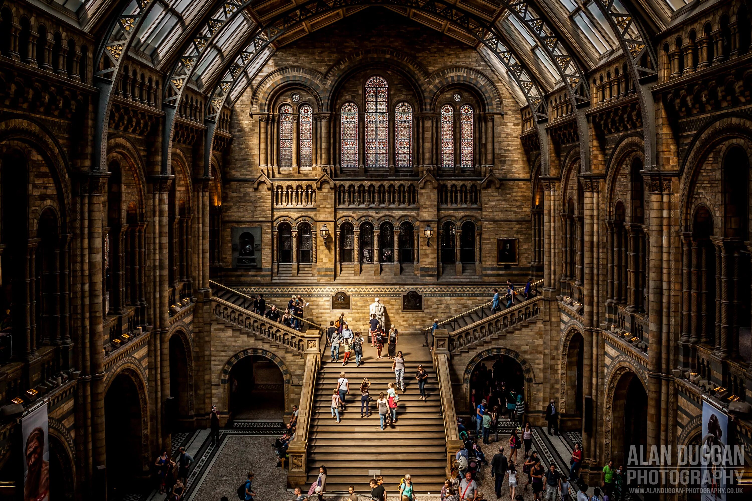 Свод зала. Natural History Museum London. Лондонский музей архитектуры. Лучшие музеи Лондона. Лондонская лестница.