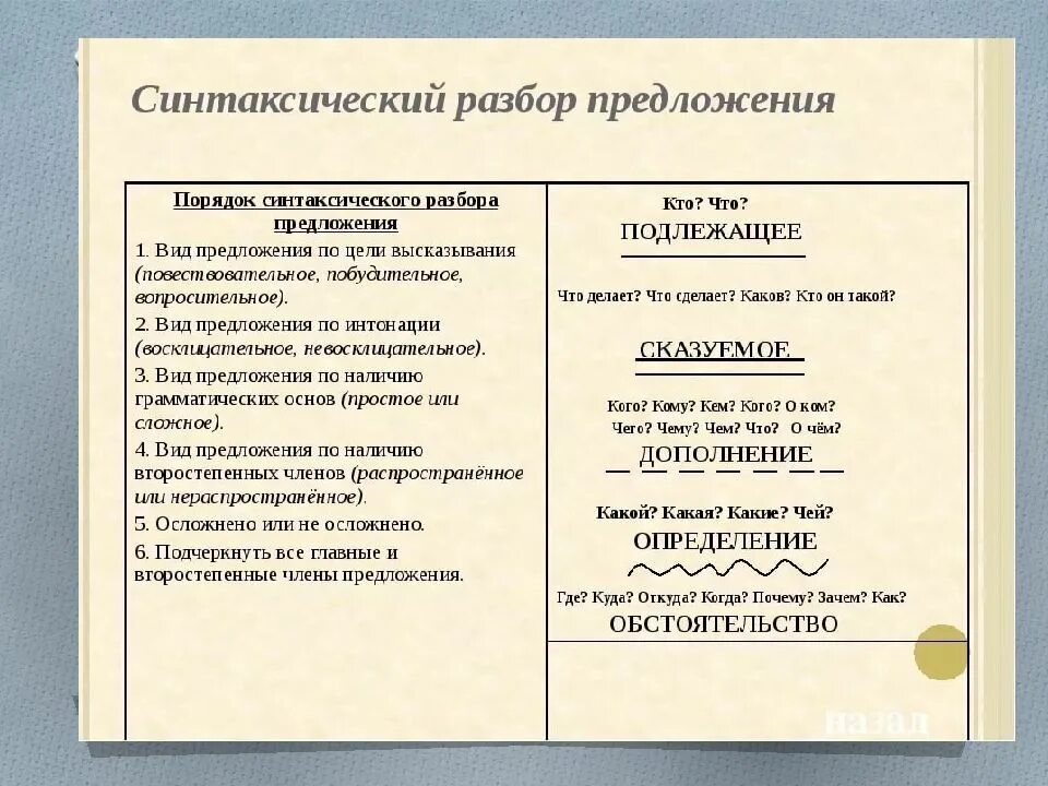 Разборы предложений по русскому языку 6