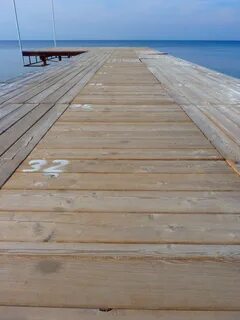 Sea wood