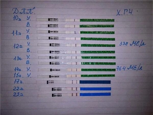Тест после зачатия. Тесты на беременность по дням. Тест на беременность после зачатия. Тесты после оплодотворения. Тест на беременность неделя после акта