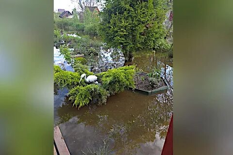 После реки разлива на осталась