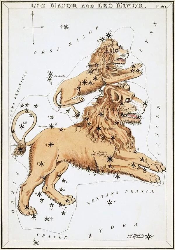 Фигура льва созвездие. Созвездие Лео минор. Созвездие малый Лев. Созвездие Лев и малый Лев.