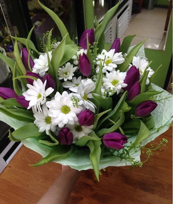 букет хризантема тюльпаны орнитогалум. тюльпаны и хризантемы. букет гиацинт тюльпан хризантема. тюльпаны с гипсофилой в букете. букет из тюльпанов и хризантем.