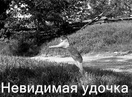 Невидимые вещи