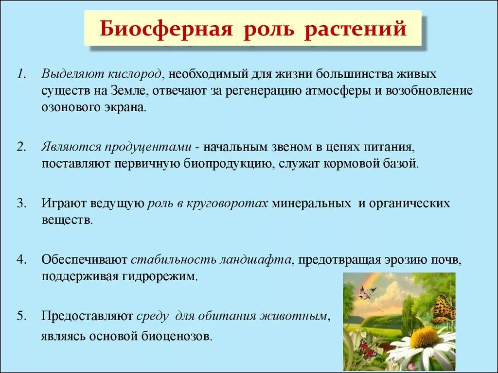 Растения в биосфере является