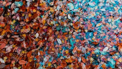Fall over