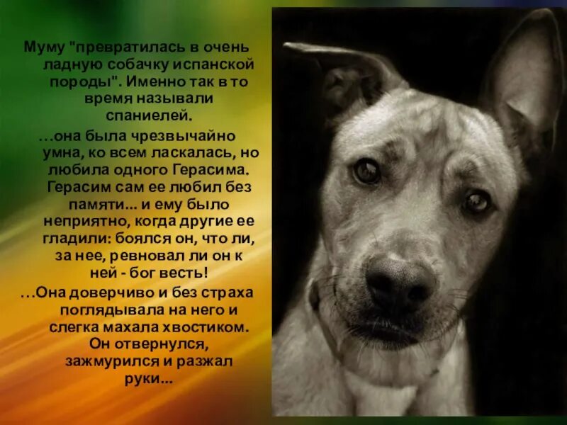 Превратилась в собачку. Превратилась в собачку. 1 глава брут и пикси. Превратилась в собачку. Пёс и ножницы аниме.