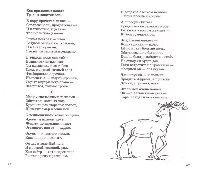 Стихи о животных. Стихи про животных длинные. Стихотворение про животных. Детские стихи про животных. Длинное стихотворение для детей