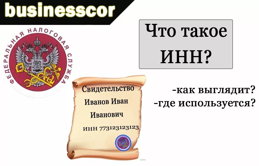 Ти инн. ИНН. Как выглядит ИНН. ИНН рисунок. Идентификационный номер налогоплательщика ИНН.