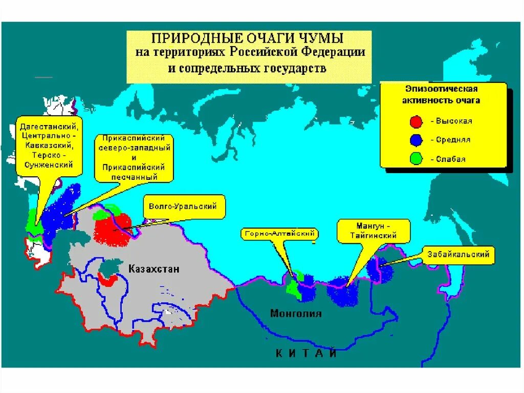 Чума в казахстане